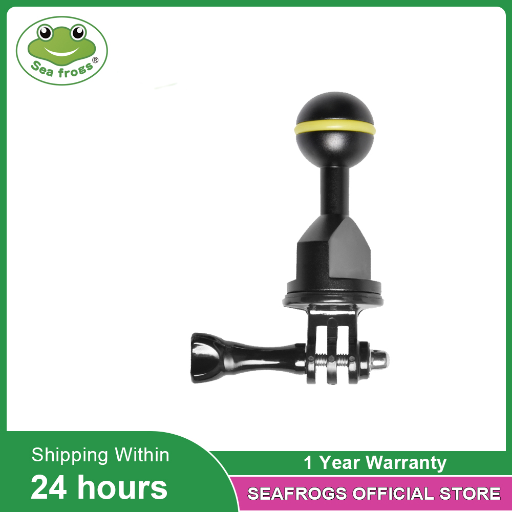Photography Lighting Essentials - Essential Diving Photography Equipment Dual Ball
