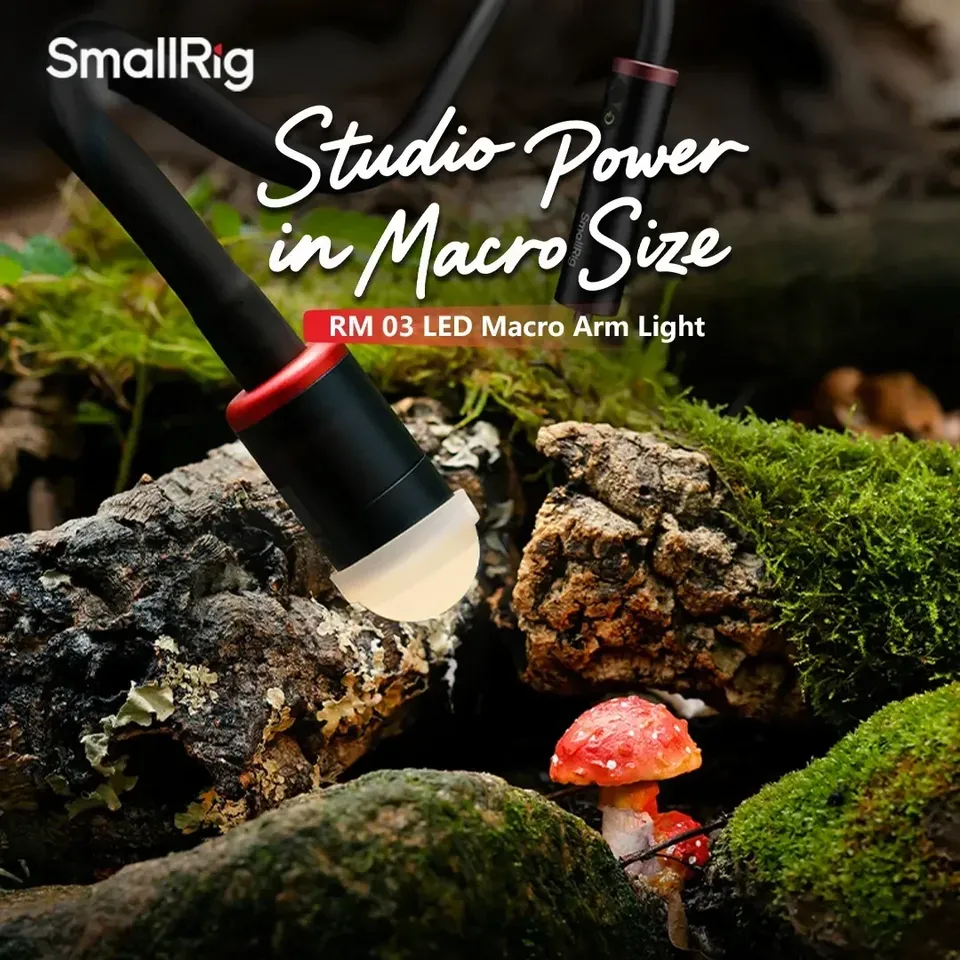 For Smallrig RM-03 3W LED Macr - Photography Lighting Angles 评论和价格