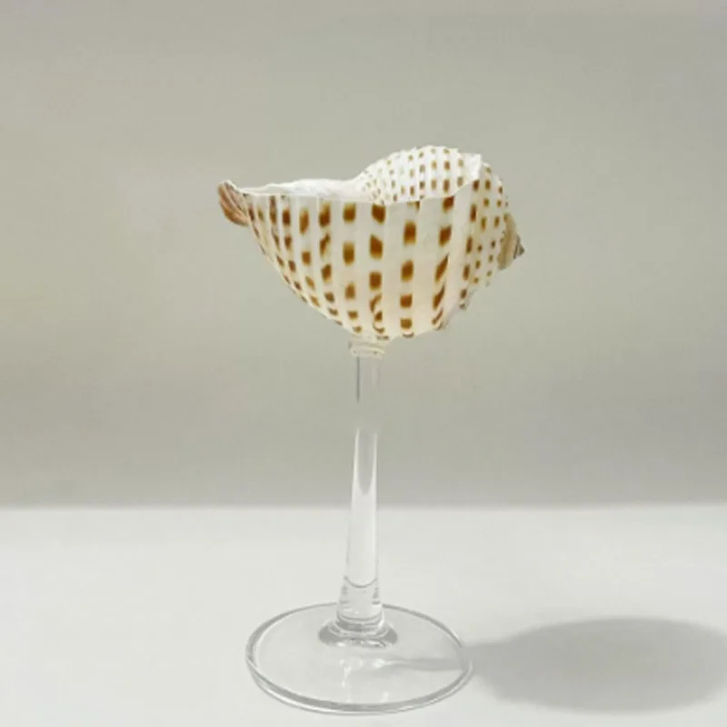 Light Luxury Conch Shell Champ - Lighting Glass Photography 评论和价格