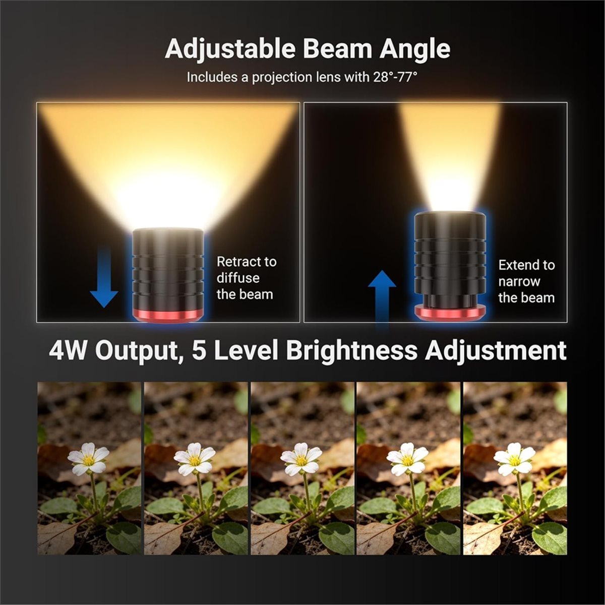 M05K LED Light for Macro Photo - Photography Lighting Angles 评论和价格