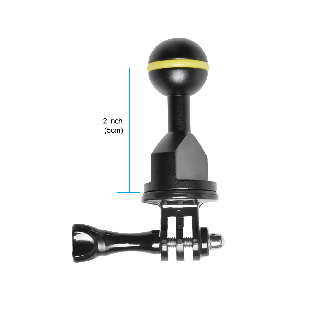 Essential Diving Photography E - Photography Lighting Essentials 评论和价格