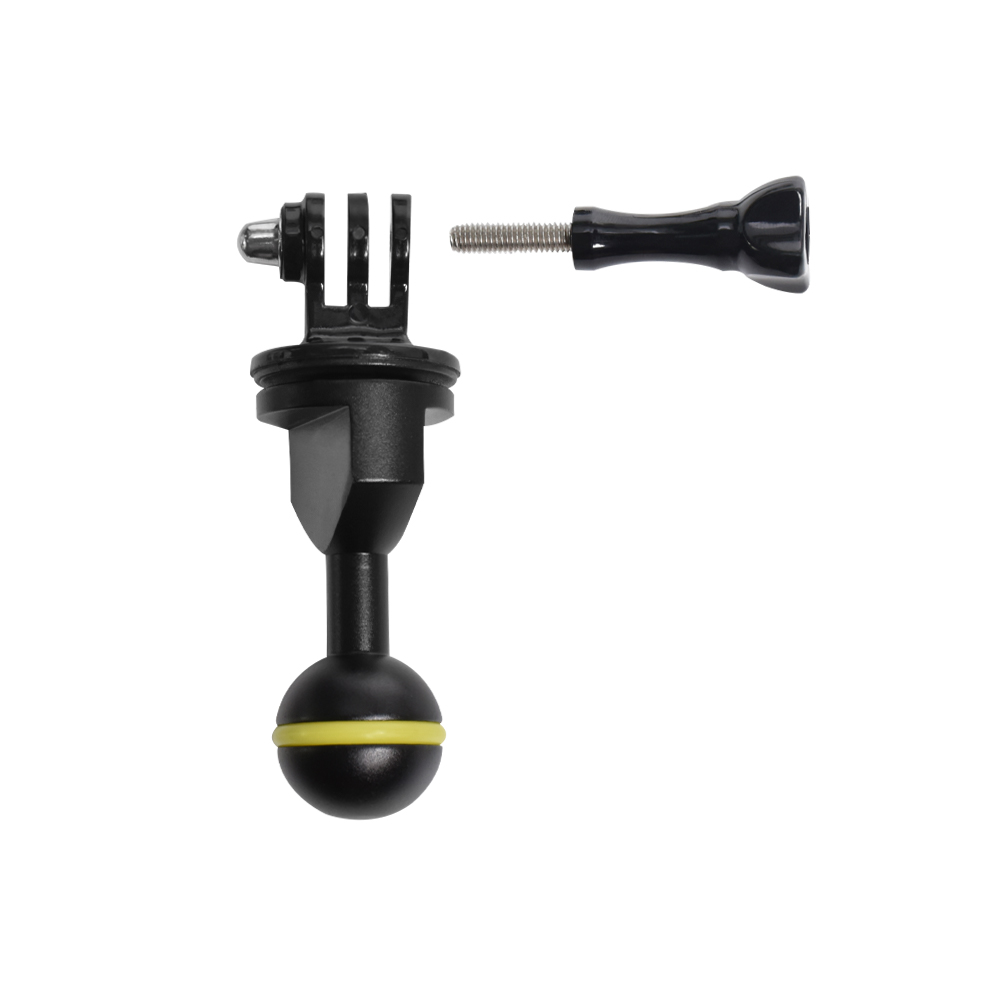 Essential Diving Photography E - Photography Lighting Essentials 评论和价格