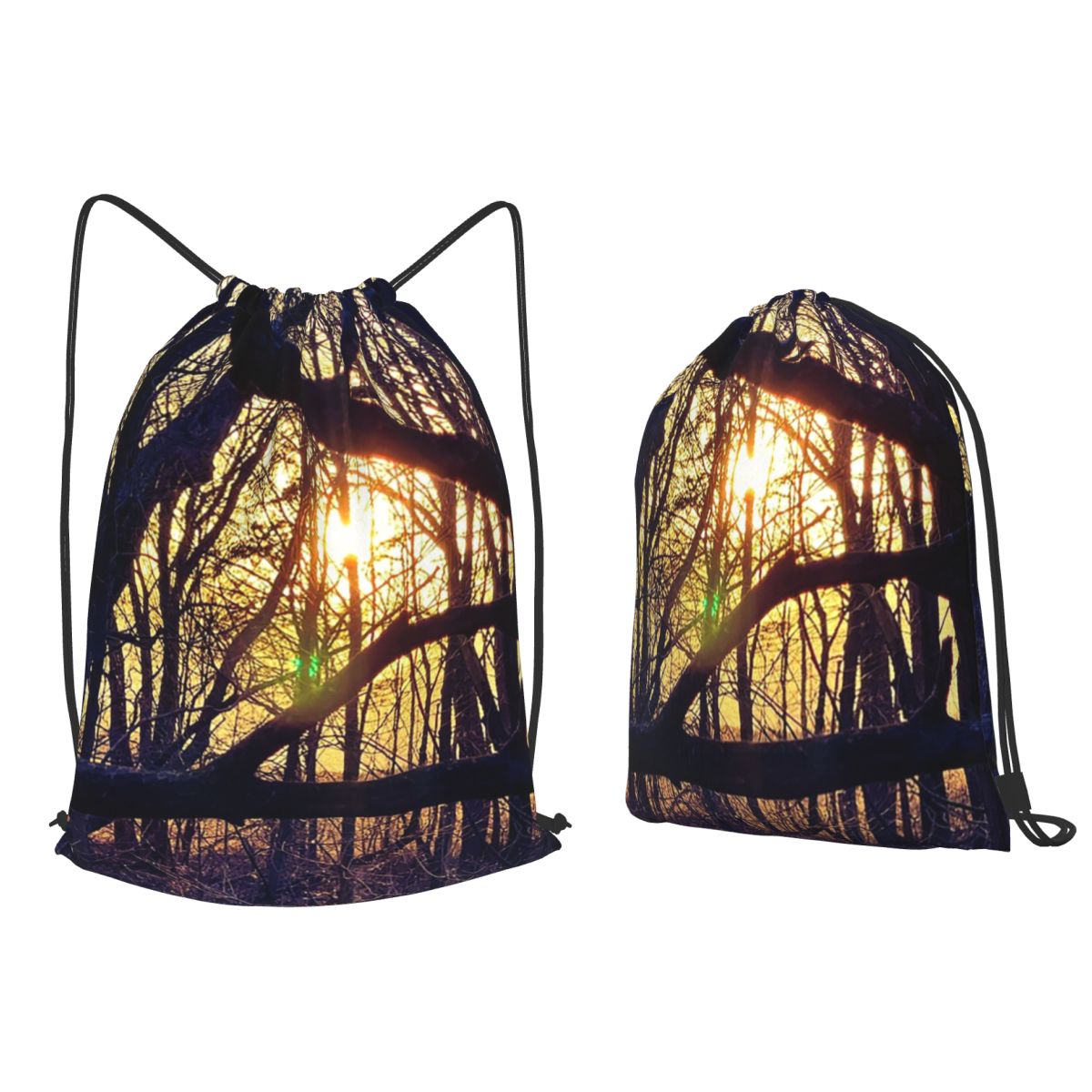 Forest Light At Sunset Nature  - Lighting In Photography Book 评论和价格