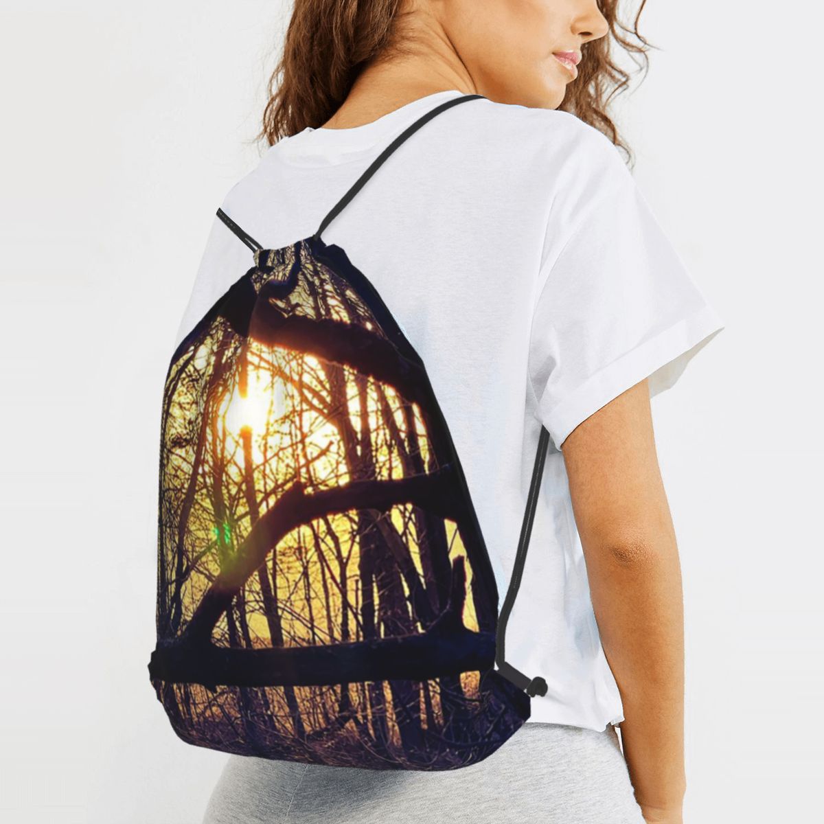 Forest Light At Sunset Nature  - Lighting In Photography Book 评论和价格