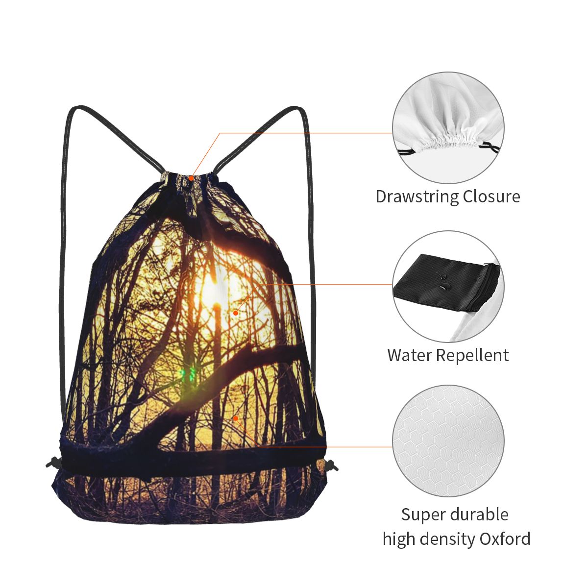 Forest Light At Sunset Nature  - Lighting In Photography Book 评论和价格
